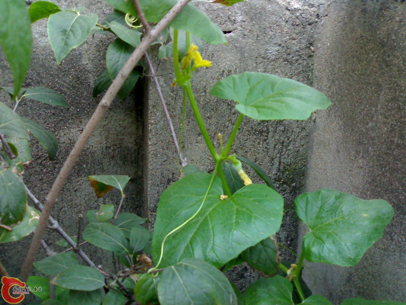 20100914714.jpg