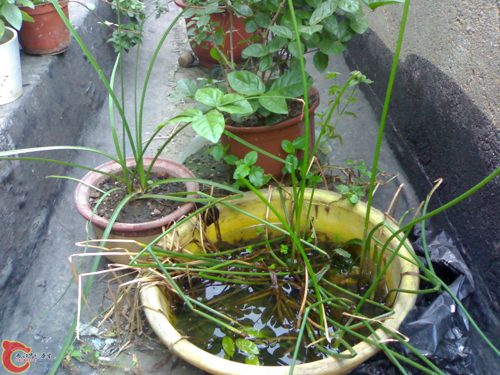 20100914718.jpg