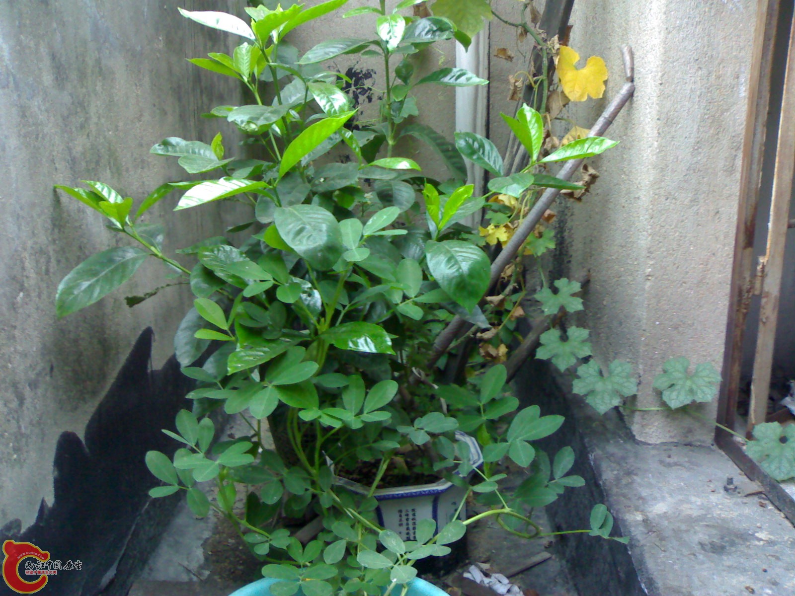 20100914717.jpg