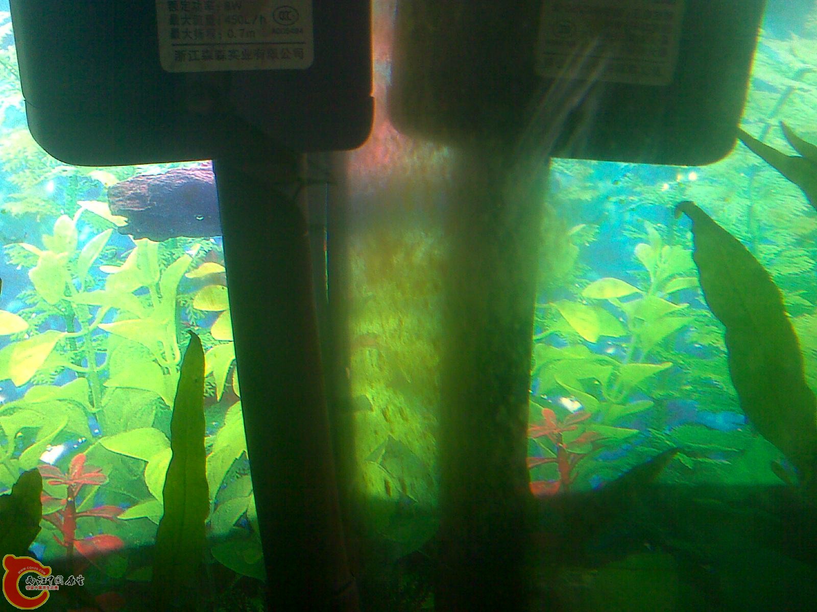 201009171326.jpg
