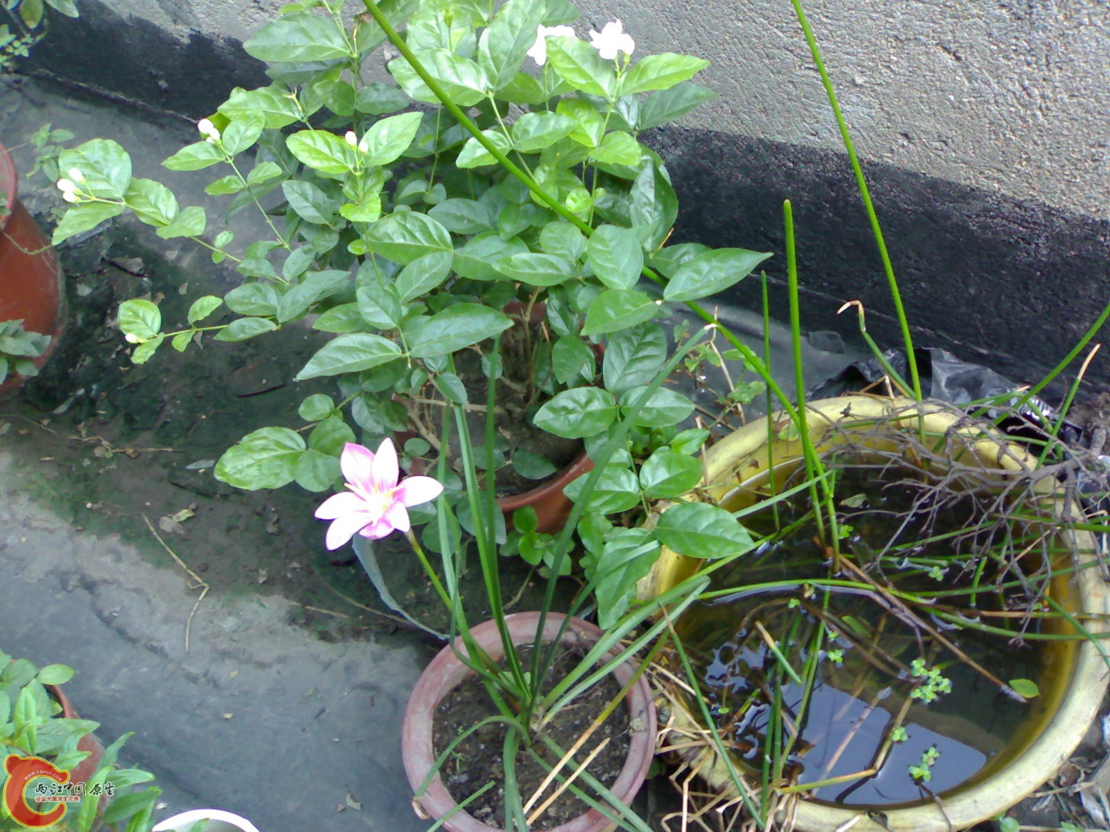 20100918029.jpg