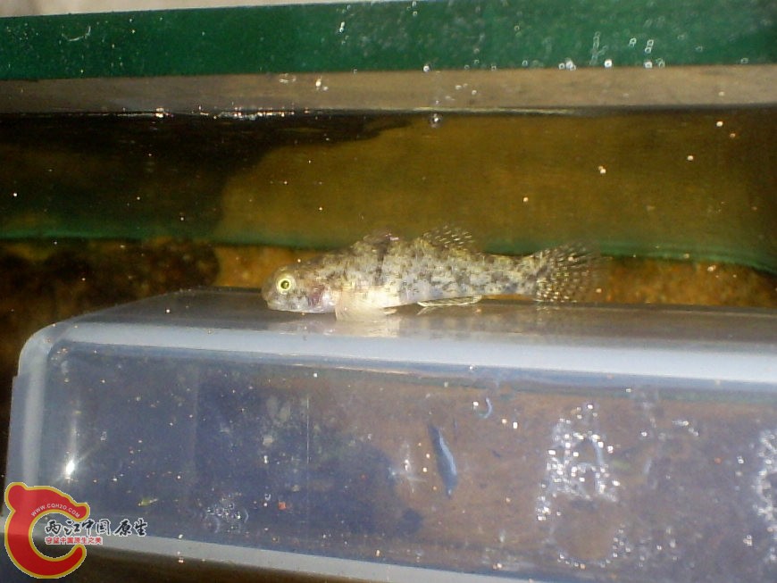 S5030107.JPG