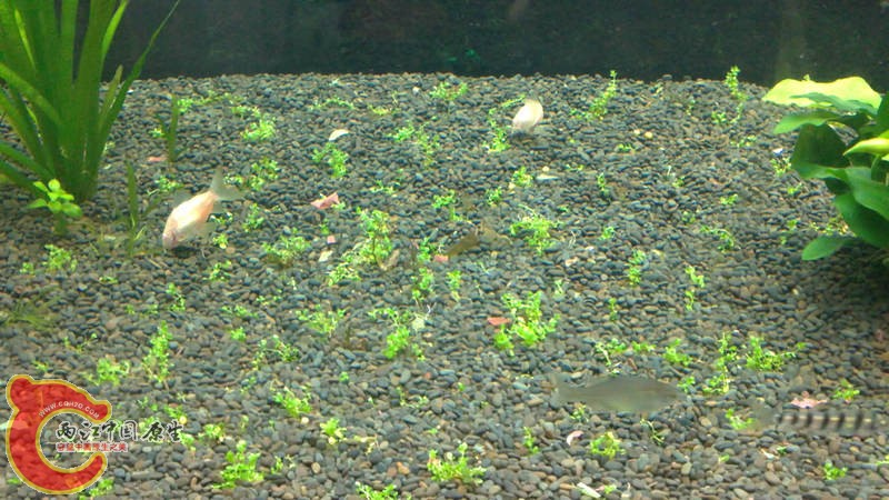 20100922038.JPG