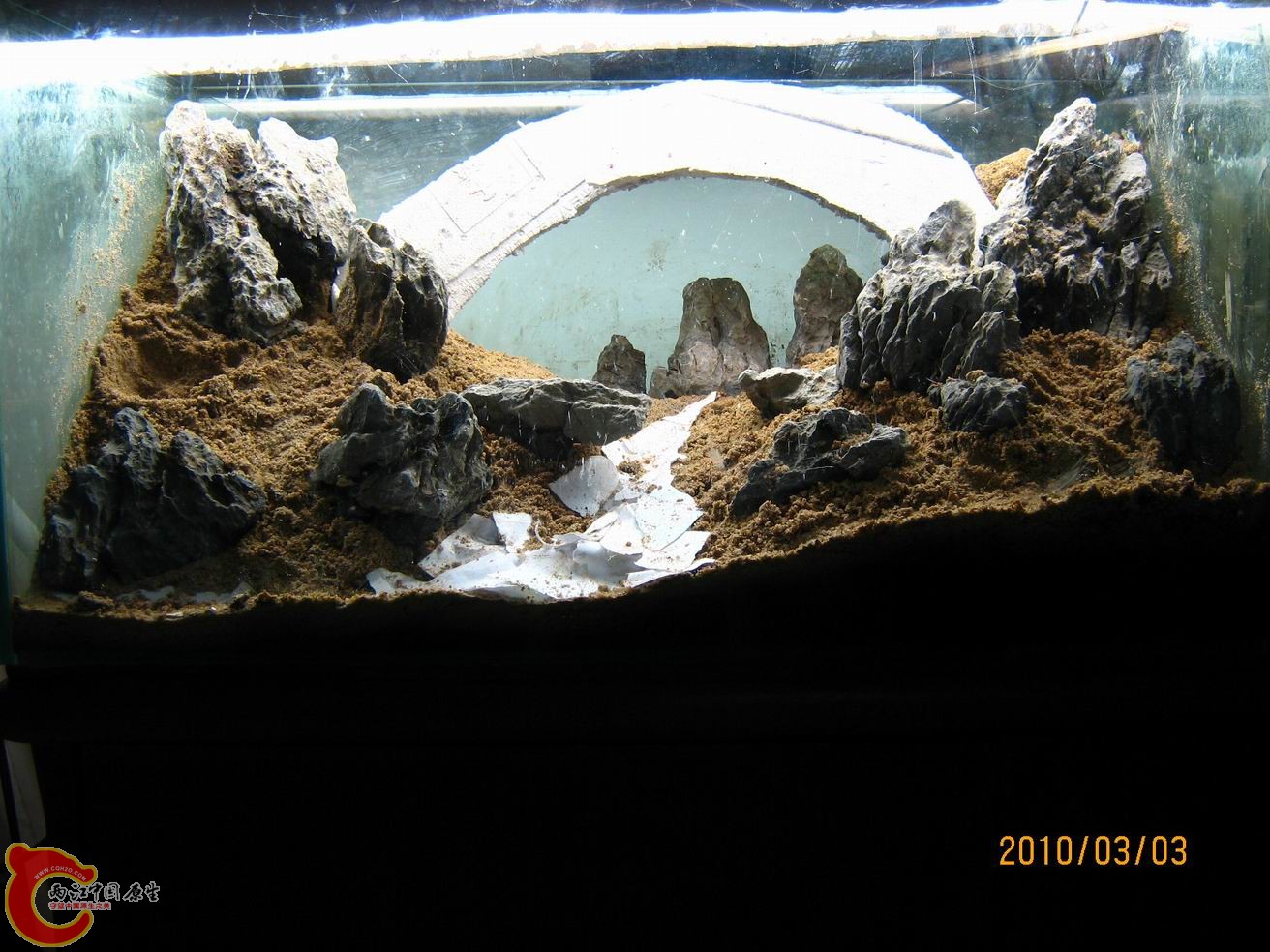 调整大小 IMG_3667.JPG