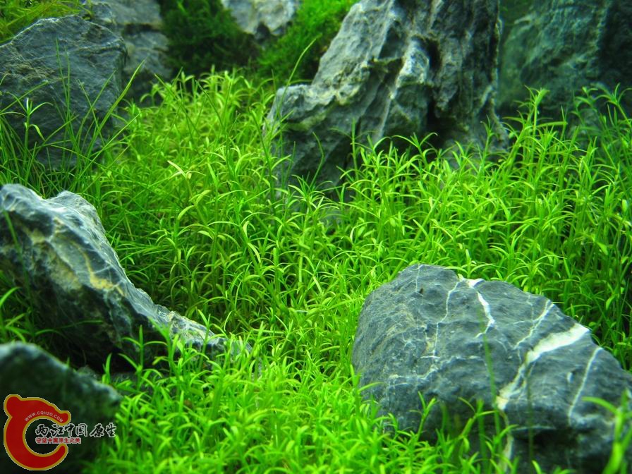 调整大小 IMG_5520.JPG