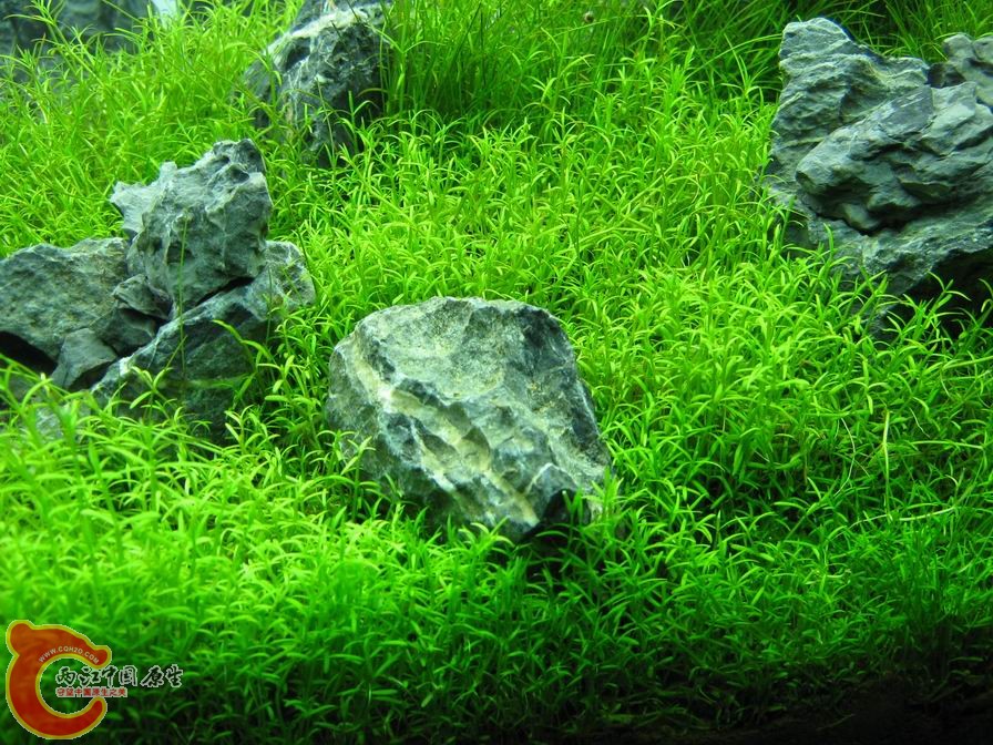 调整大小 IMG_5536.JPG