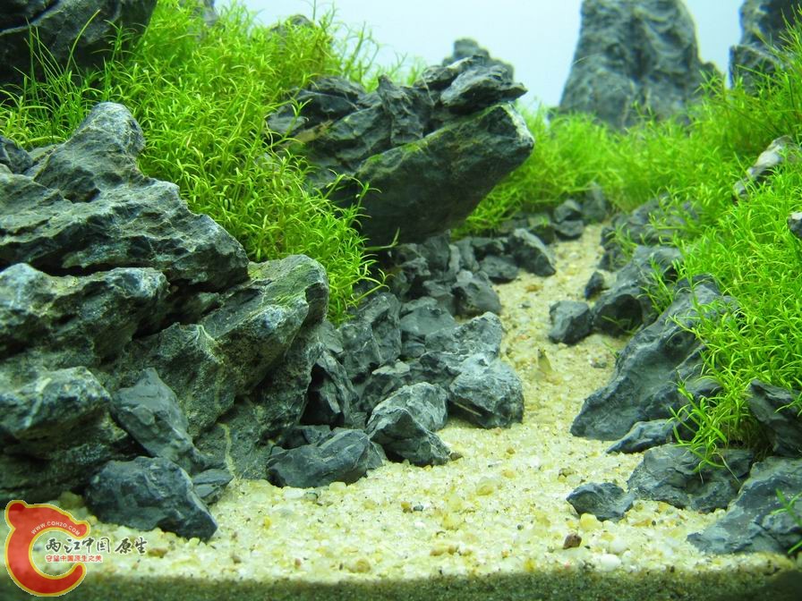 调整大小 IMG_5511.JPG