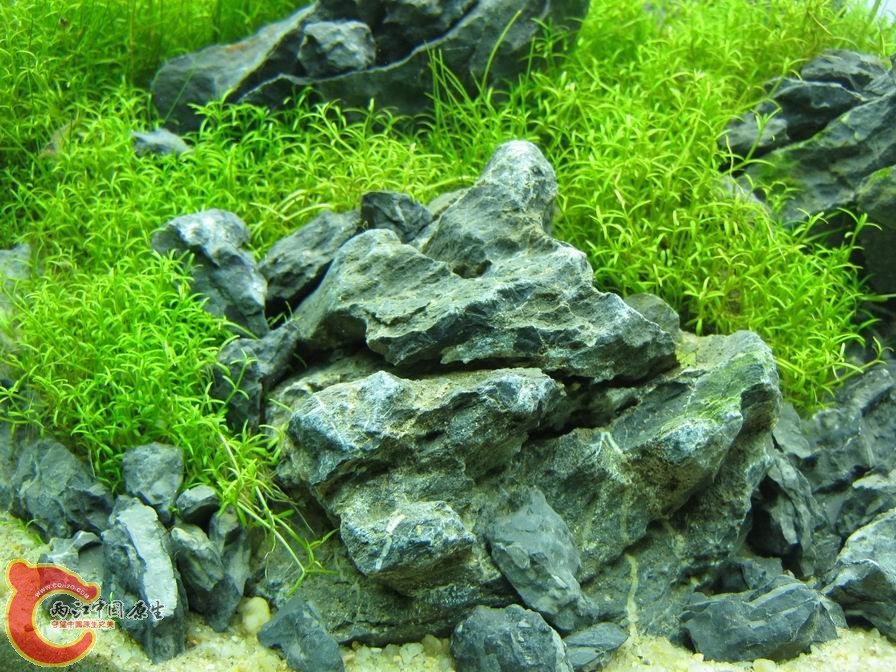 调整大小 IMG_5512.JPG