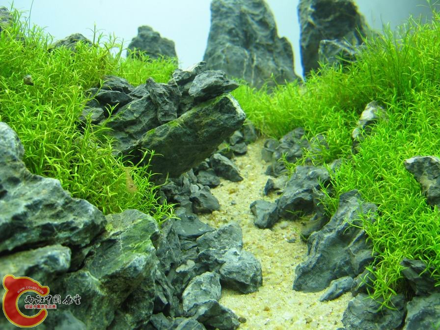 调整大小 IMG_5525.JPG