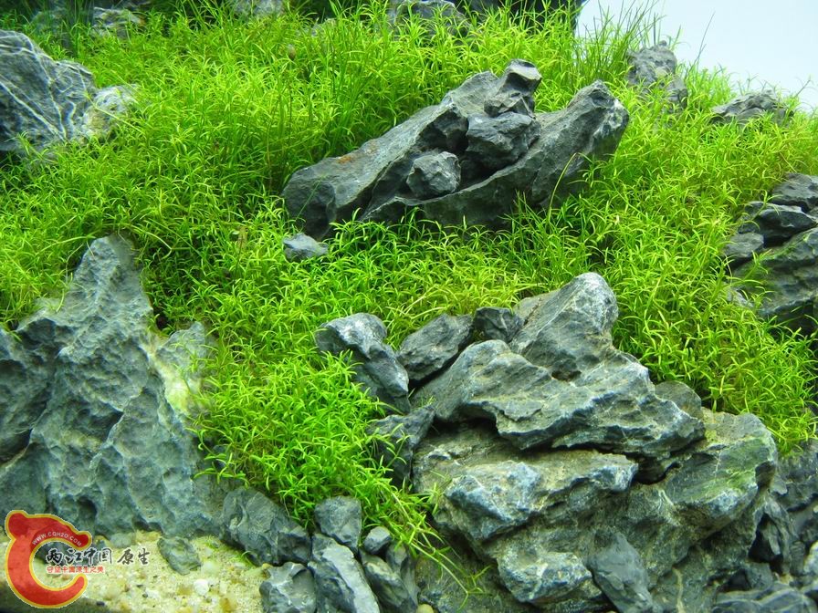 调整大小 IMG_5513.JPG