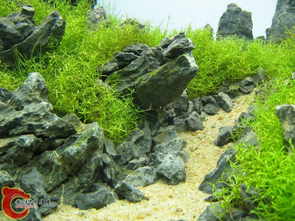 调整大小 调整大小 IMG_5549.JPG