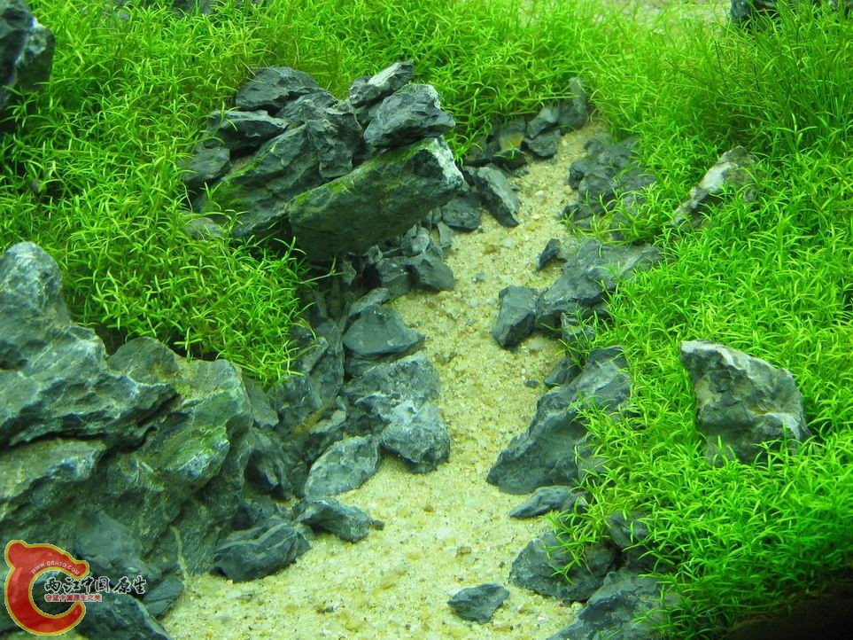 调整大小 调整大小 IMG_5554.JPG