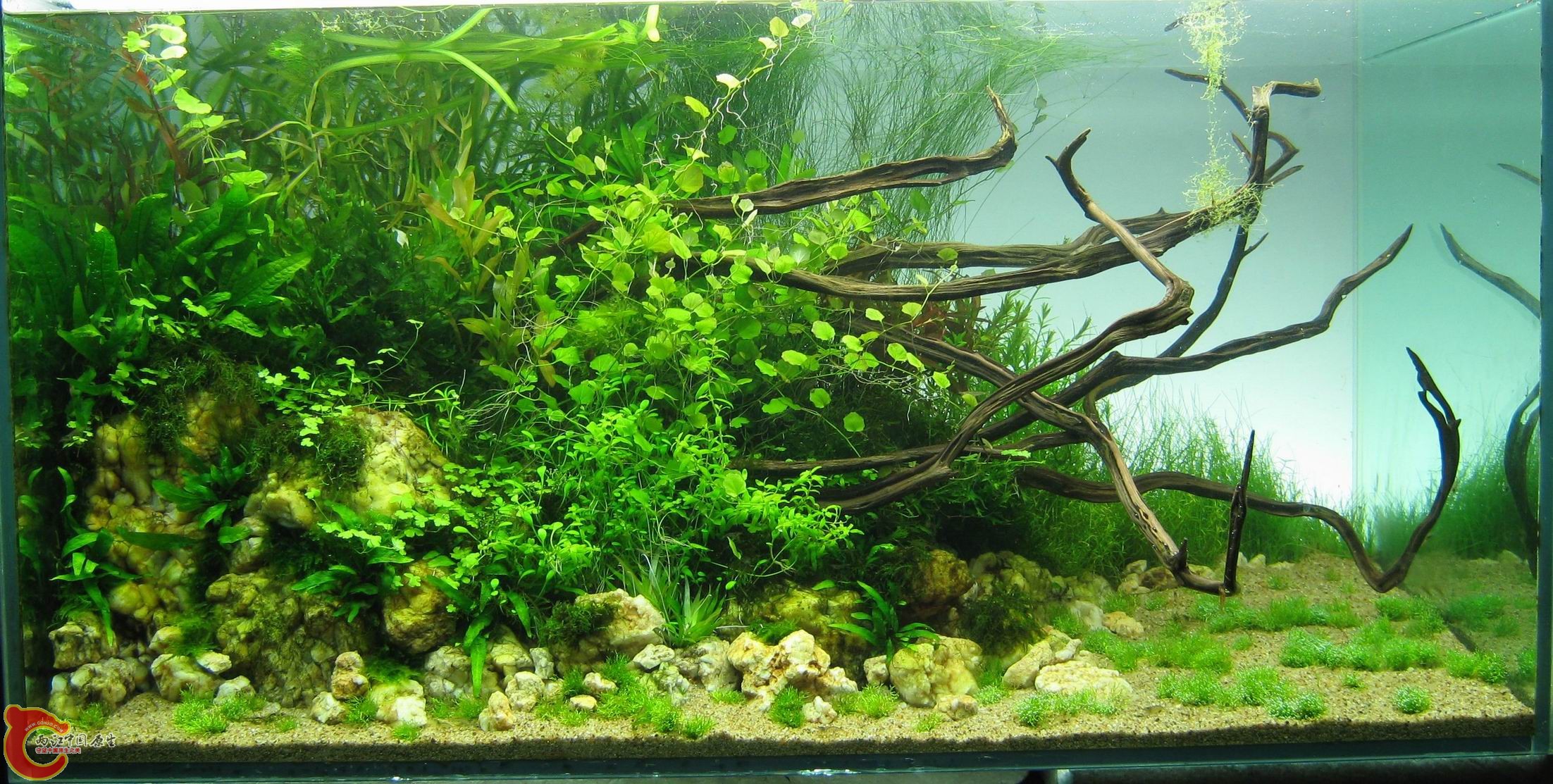 调整大小 IMG_5894.JPG