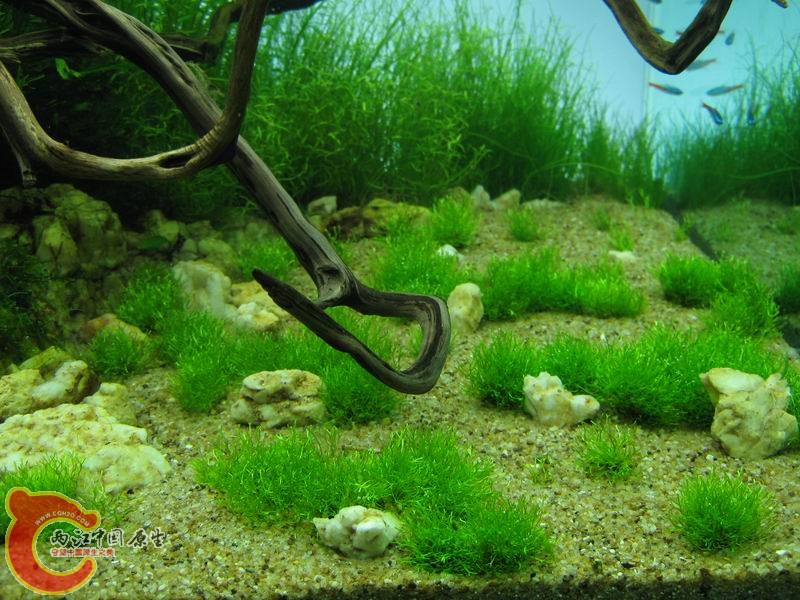 调整大小 IMG_6280.JPG