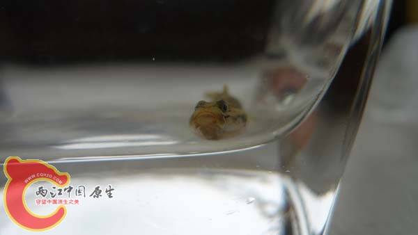 P1010440.jpg