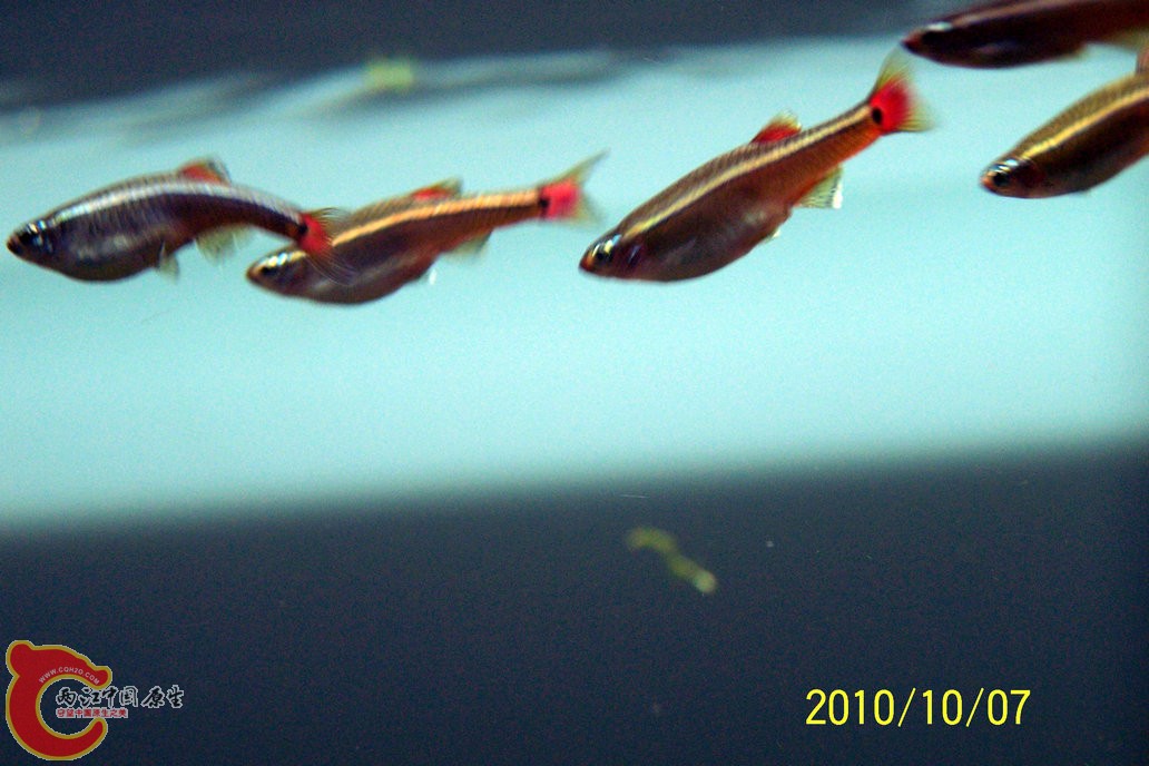 106_3523.JPG
