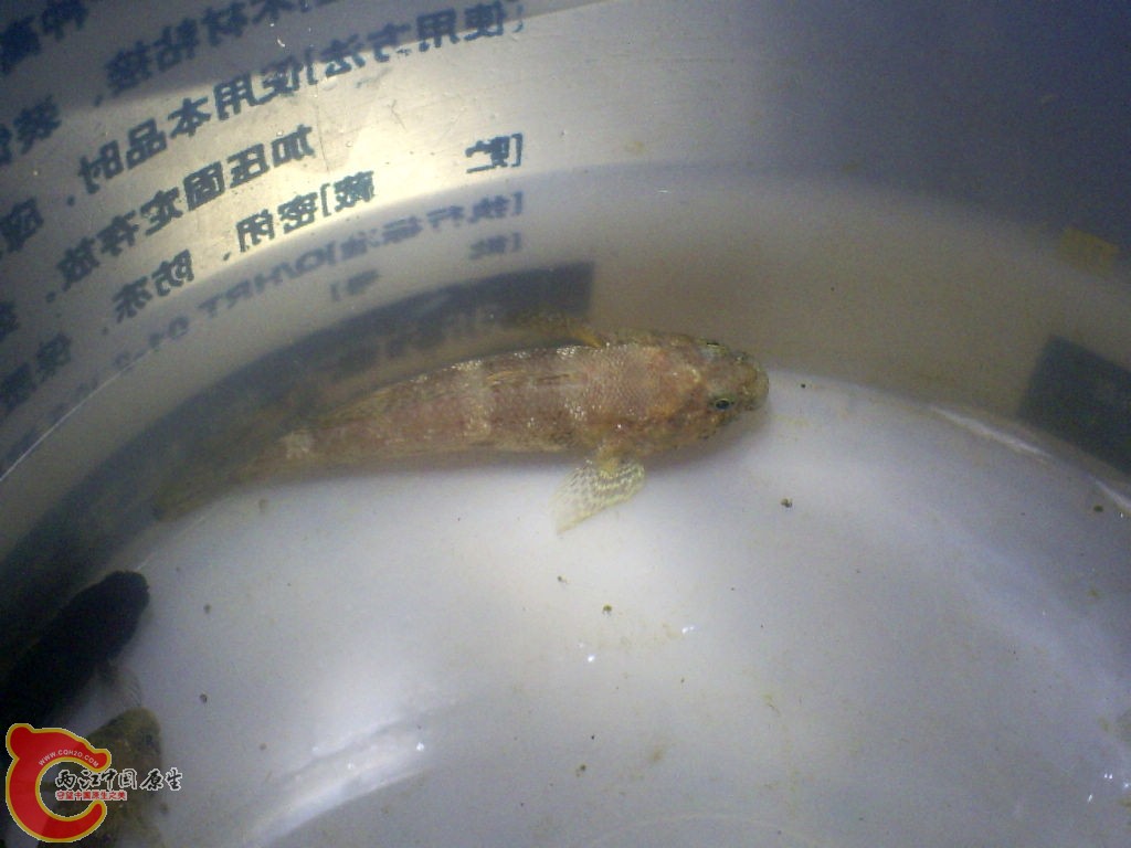 S5030009.JPG