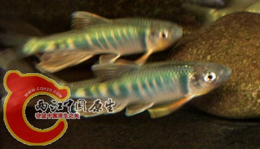 DSC04384.jpg