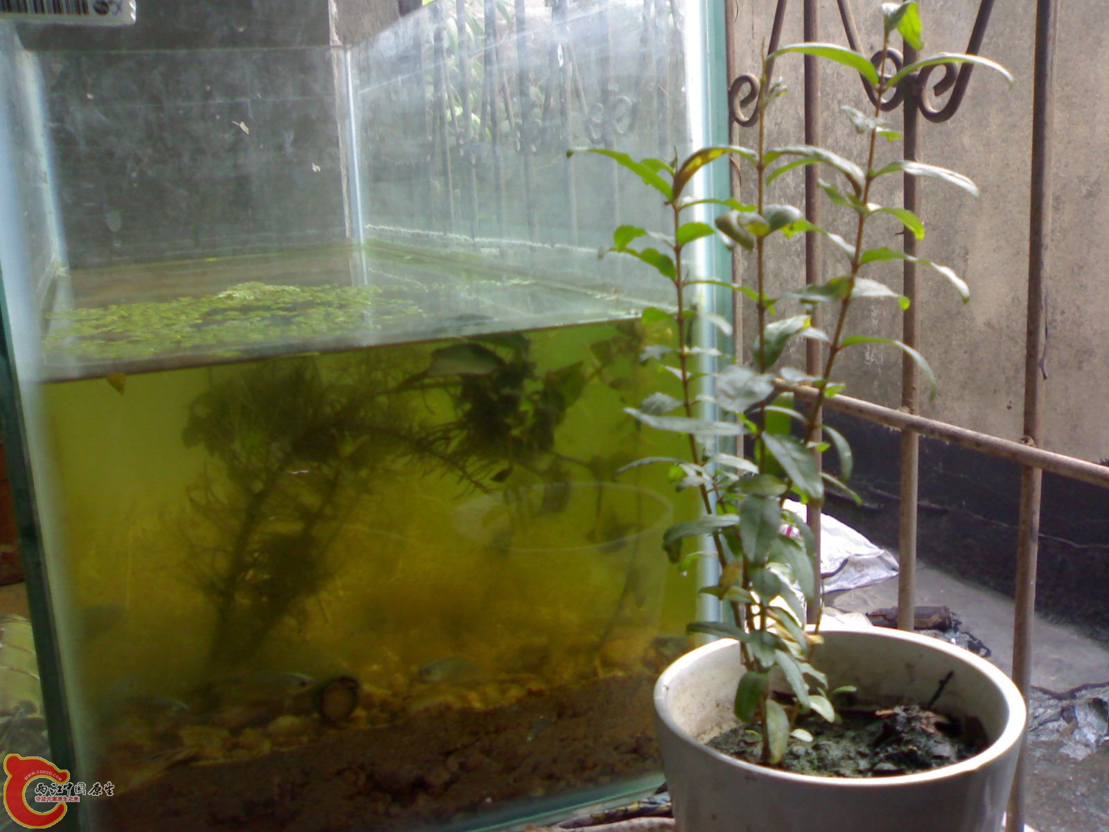 20101011250.jpg