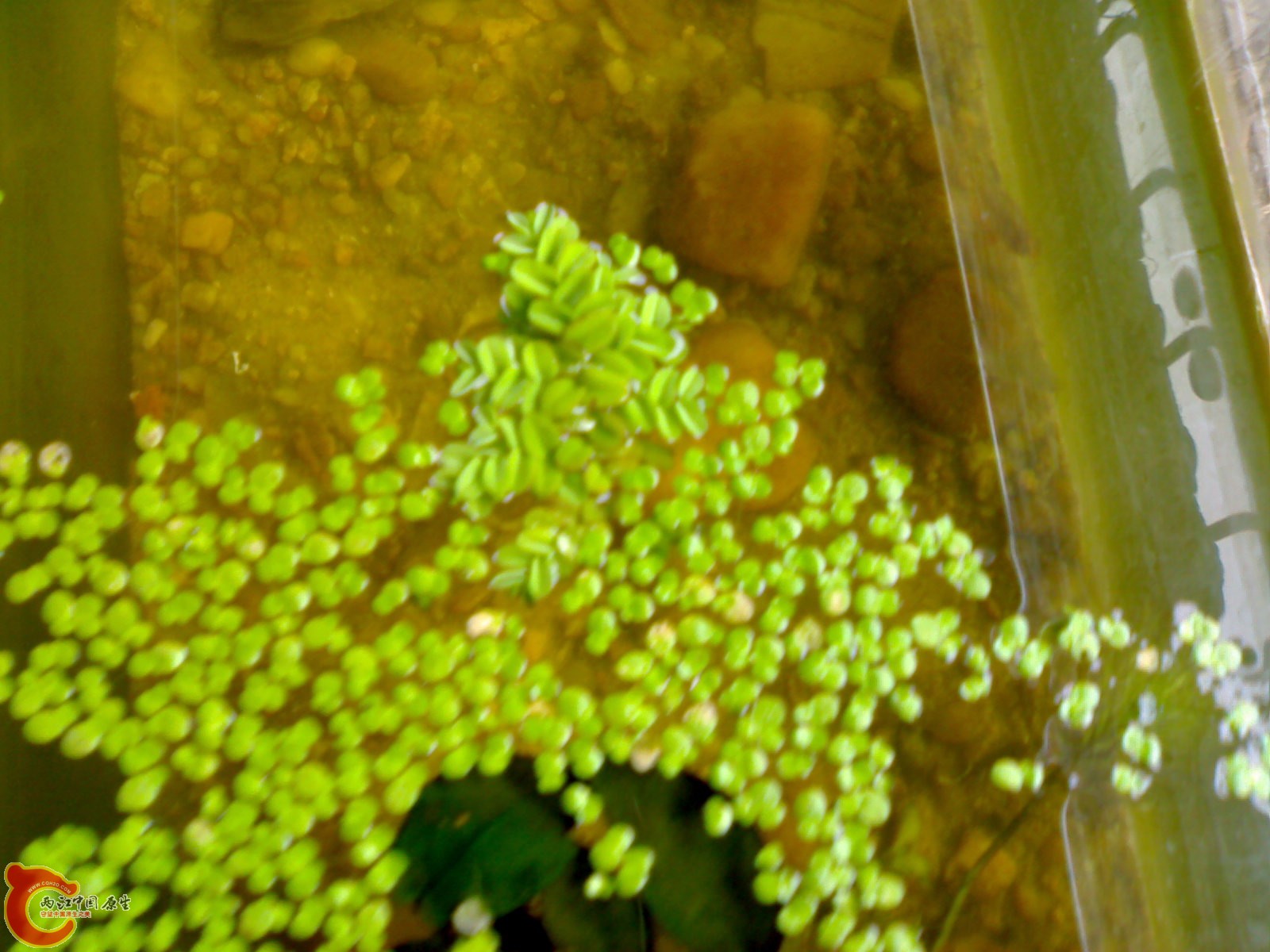 20101011252.jpg
