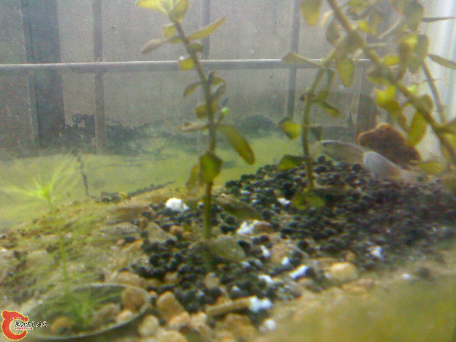 20101013279.jpg