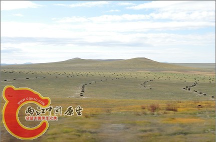 草景.jpg