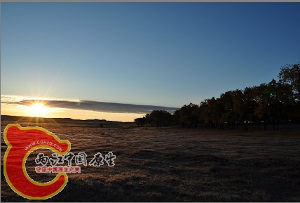 草原晨光.jpg