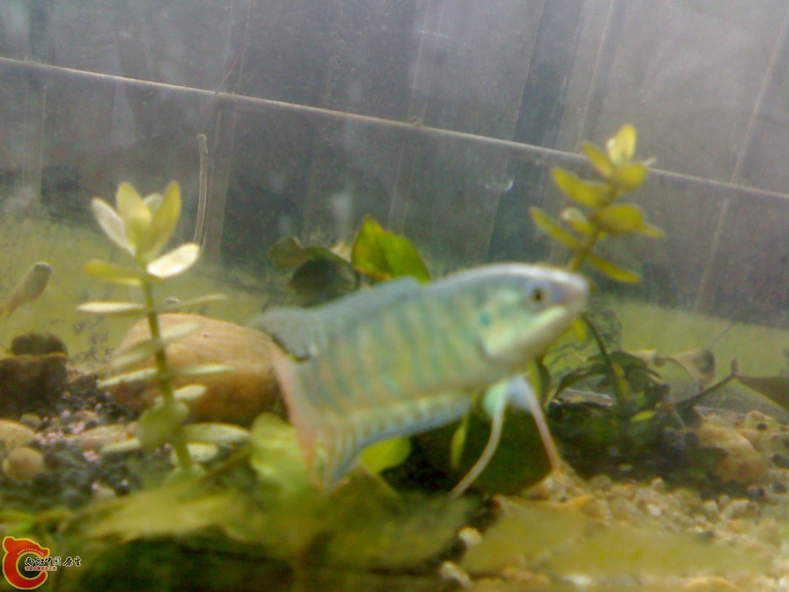 20101014300.jpg