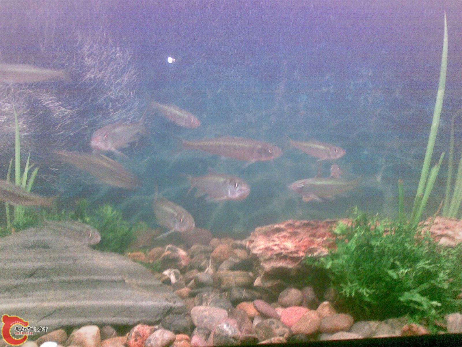 水点浑