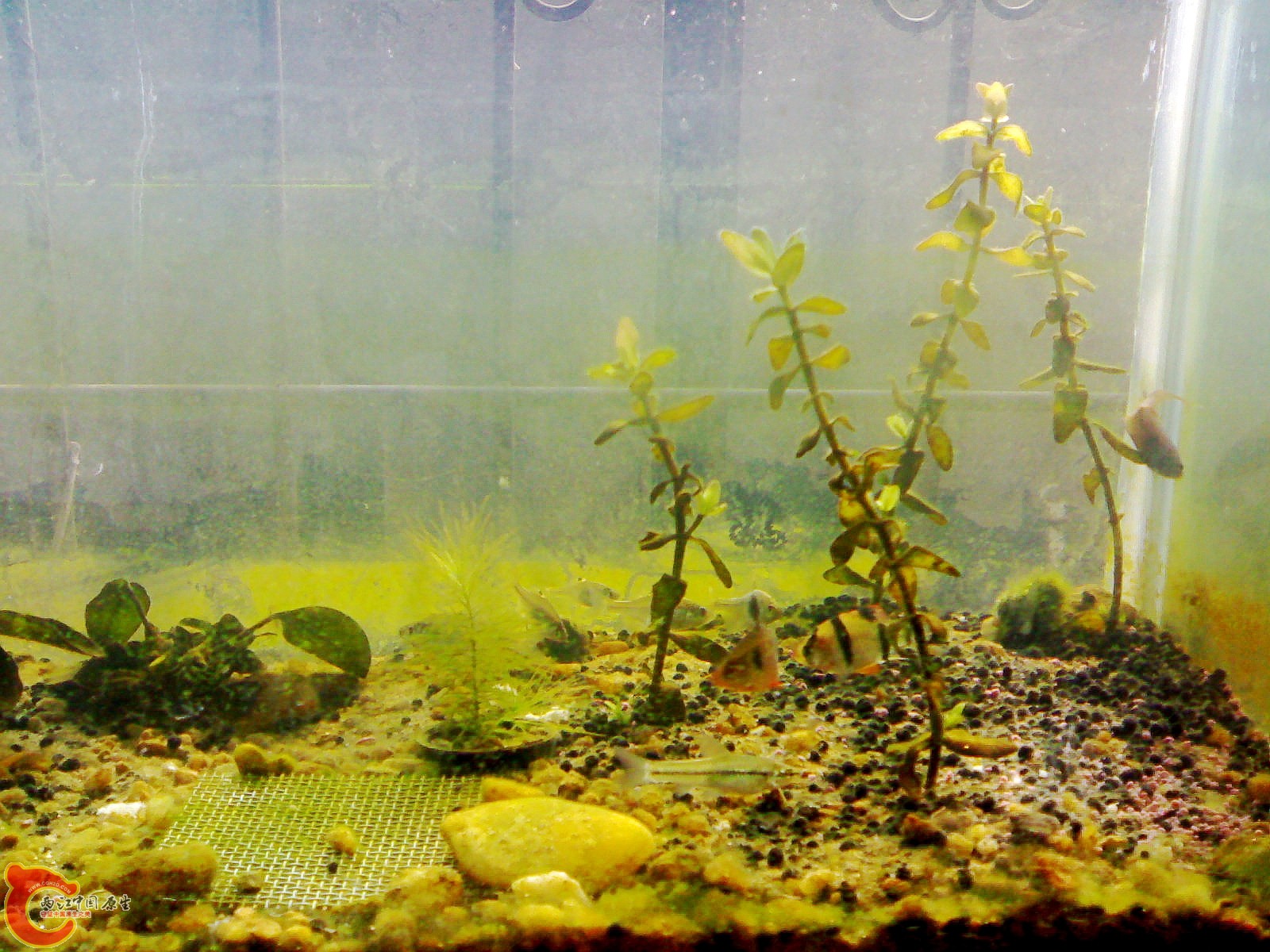 20101019402_conew1.jpg