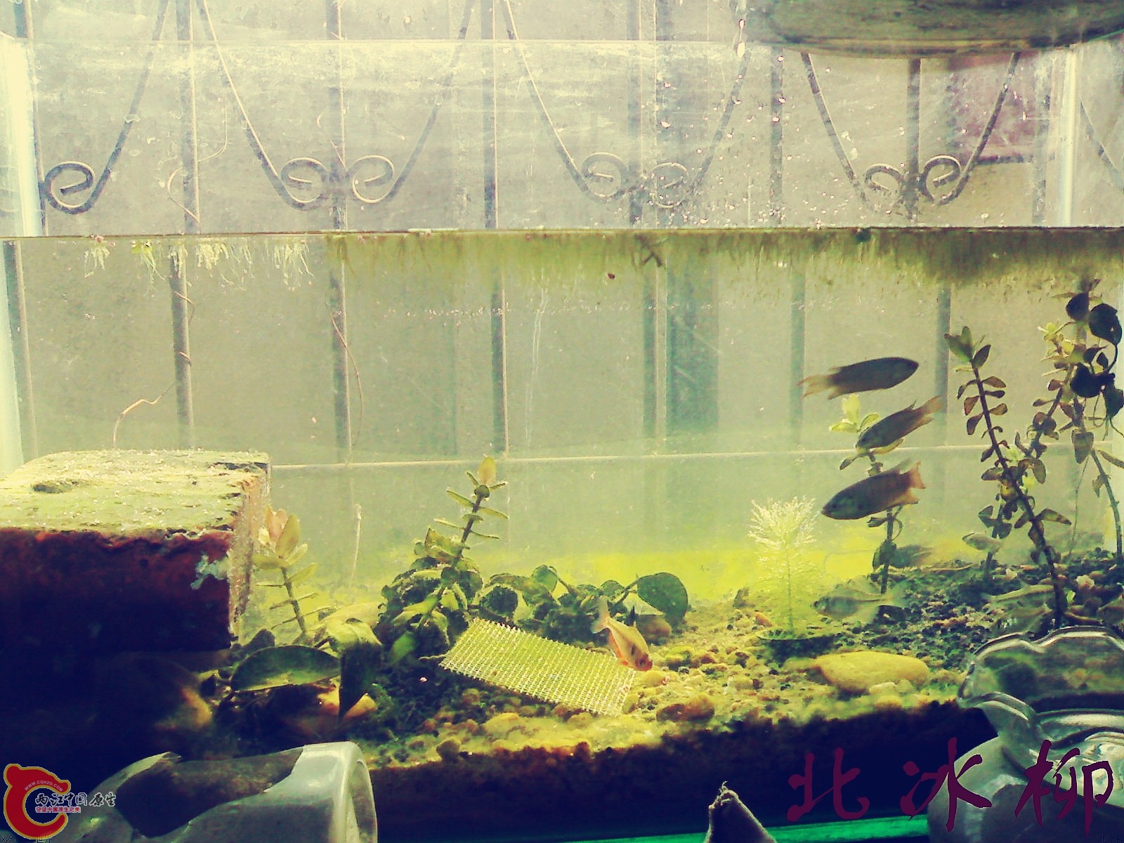 20101020408_conew4.jpg
