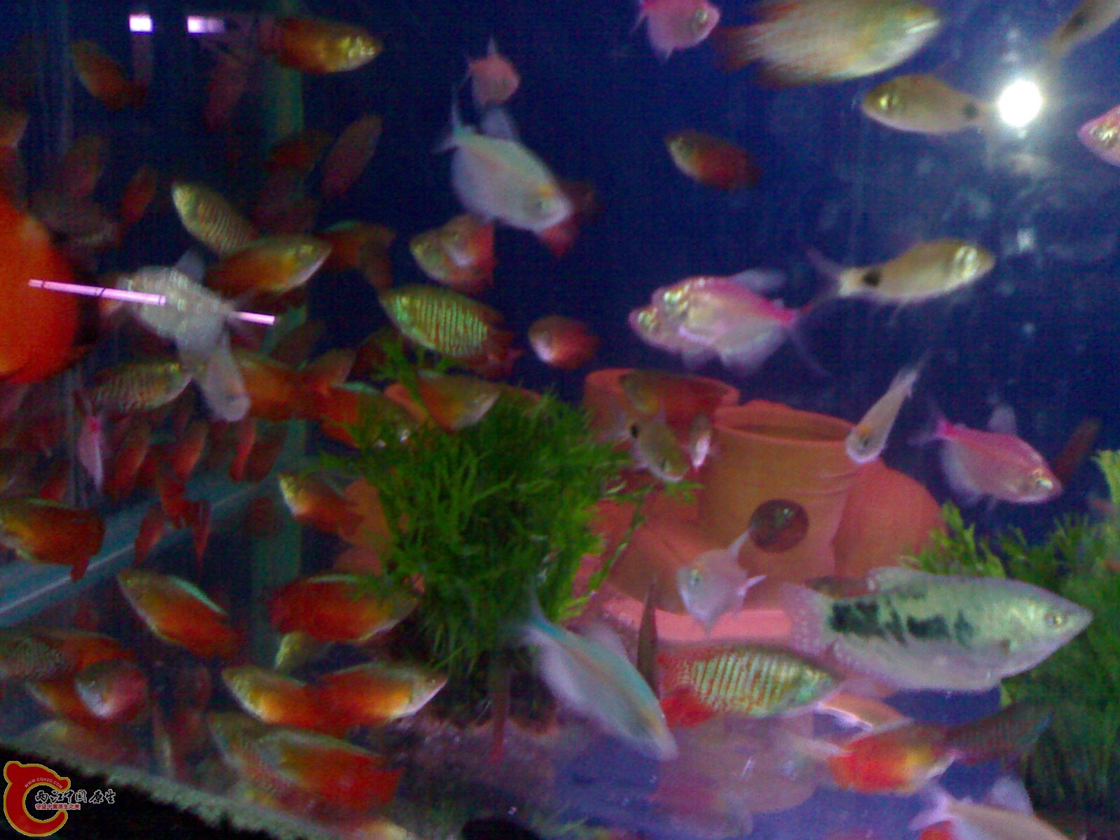 20101022422.jpg