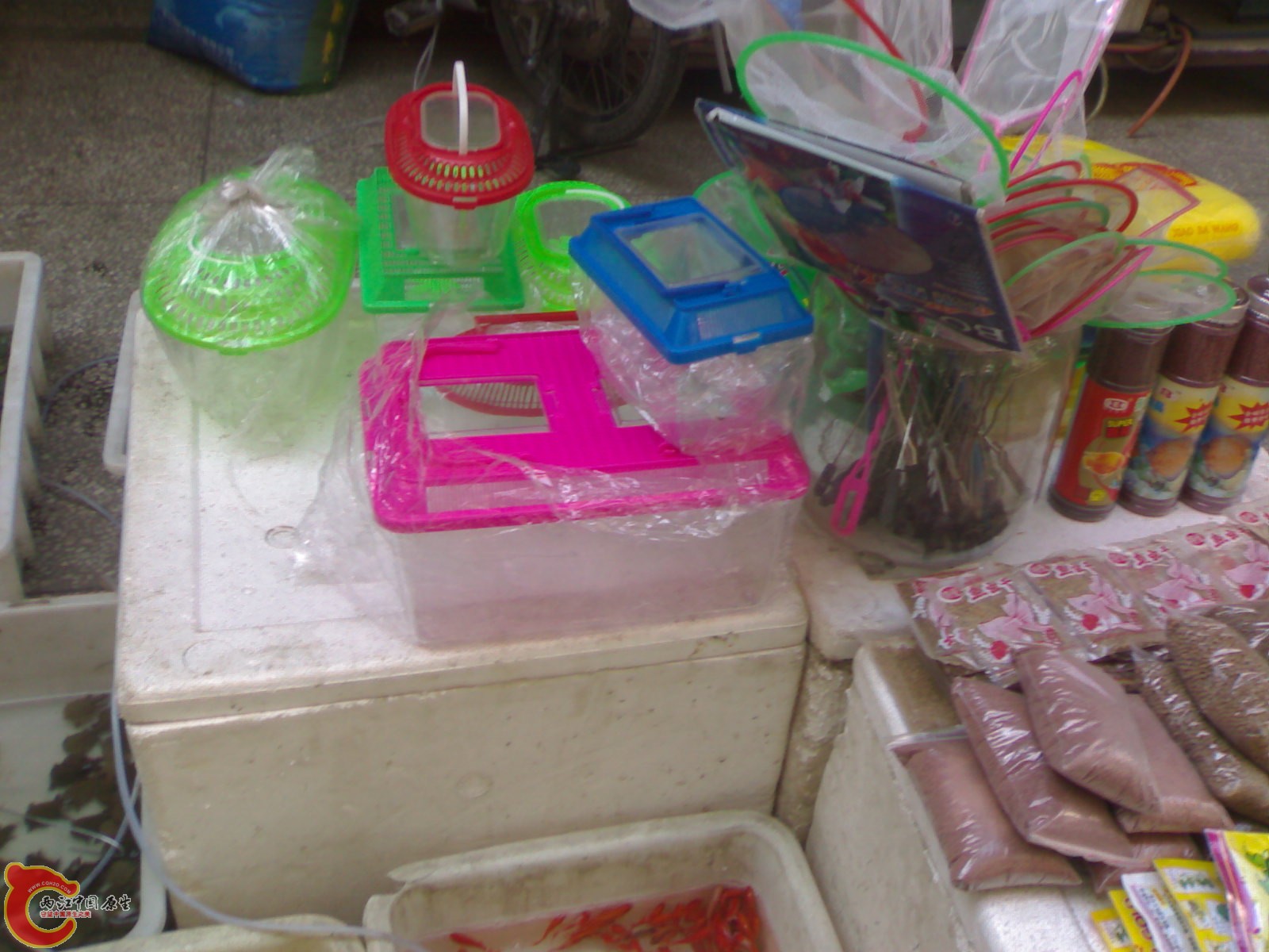20101022423.jpg