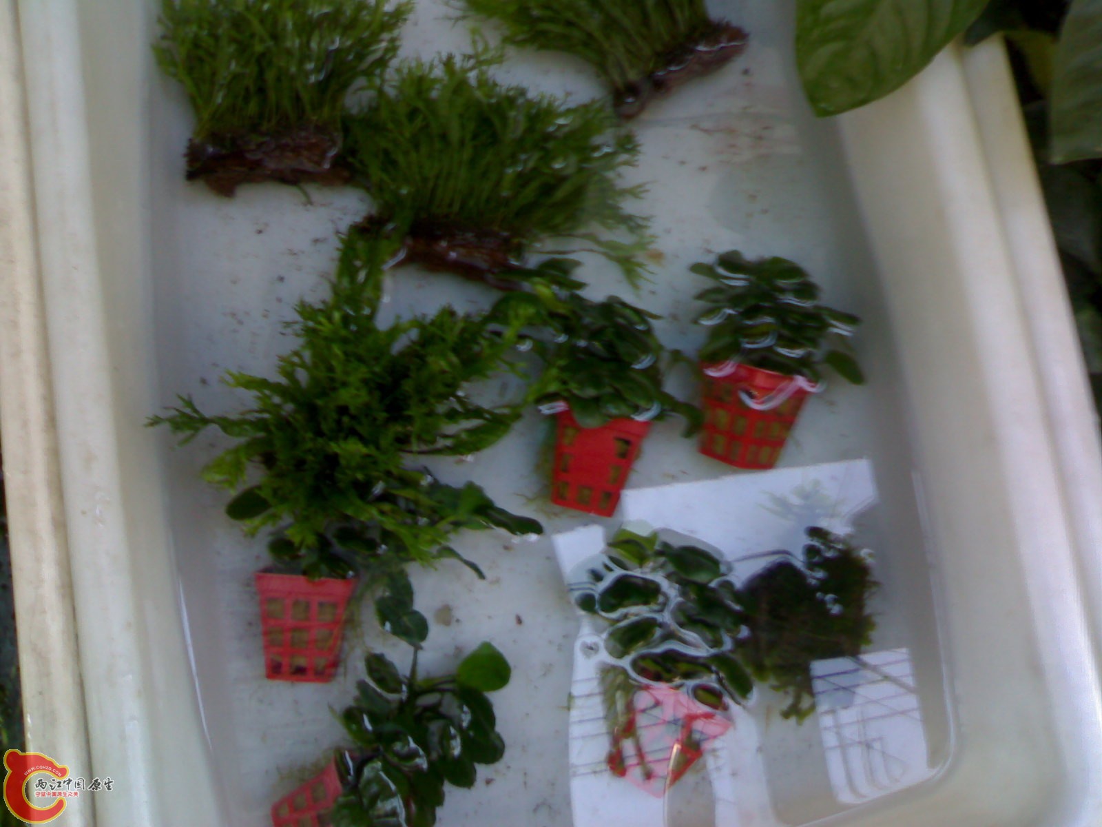 20101022425.jpg