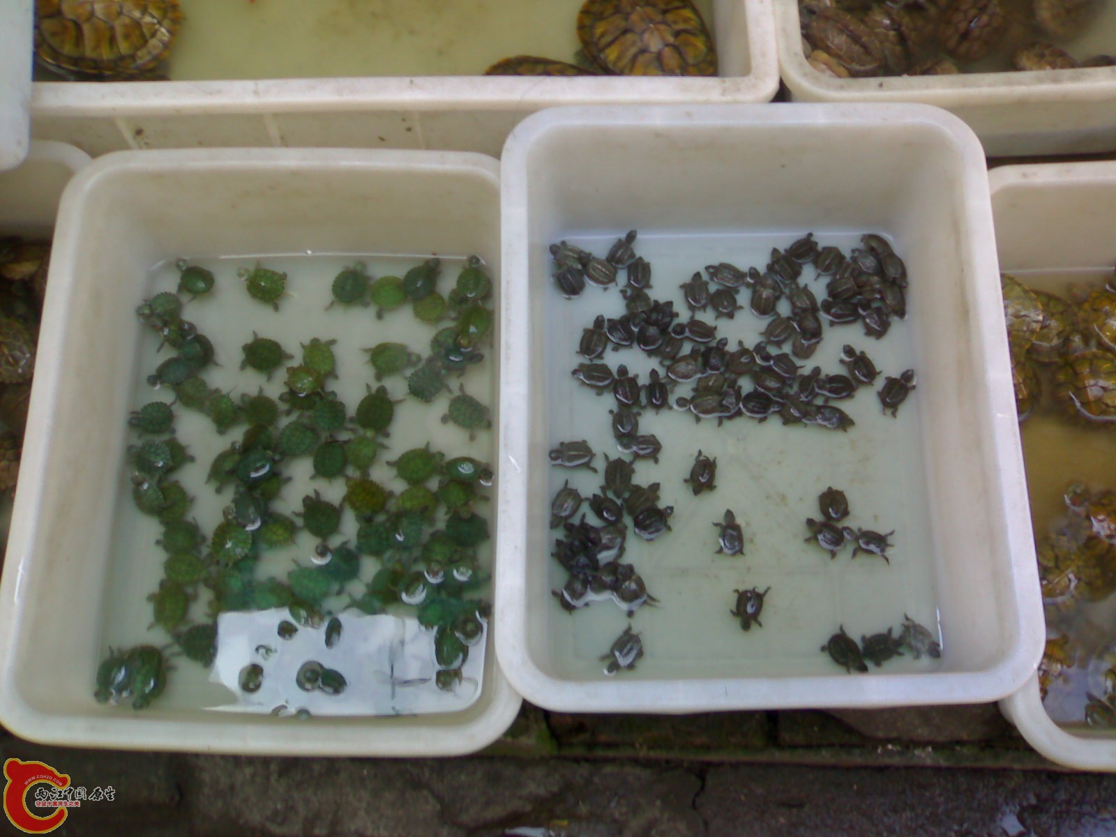 20101022433.jpg