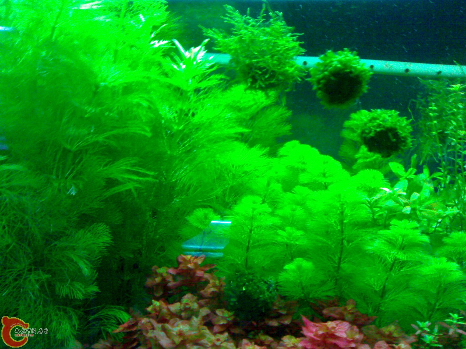 20101022449.jpg