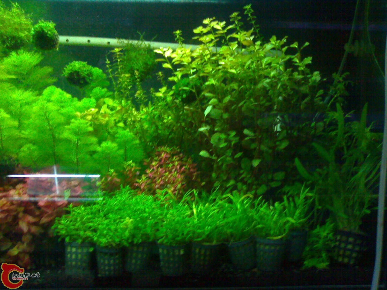 20101022450.jpg