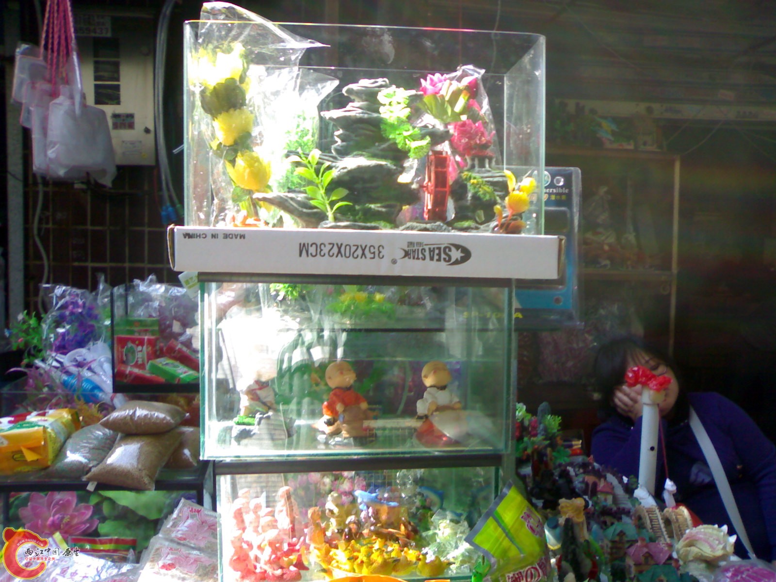20101022436.jpg