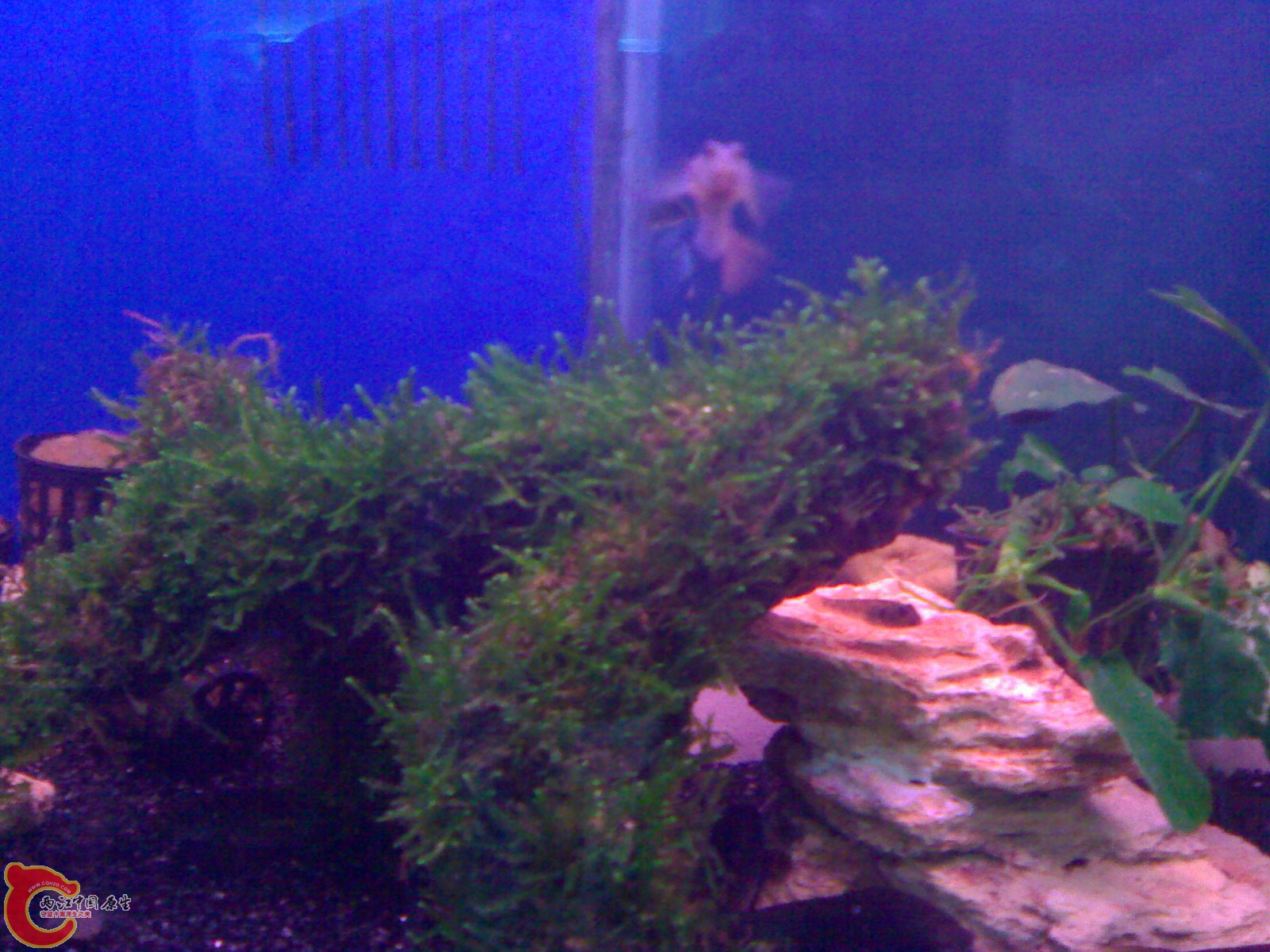 20101022446.jpg