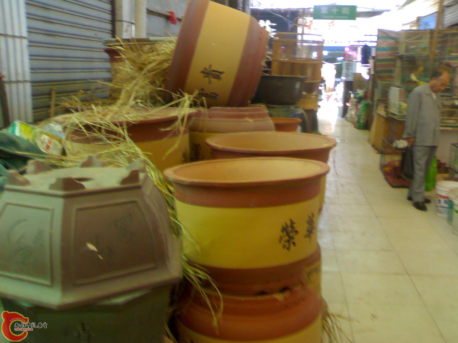 20101022459.jpg