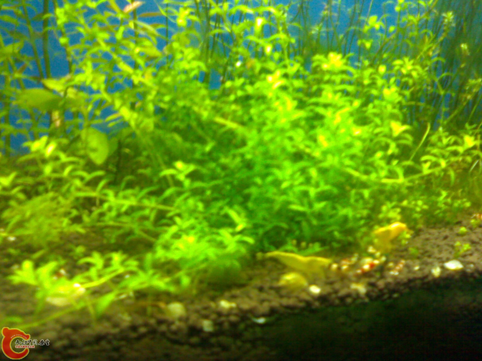 20101022454.jpg