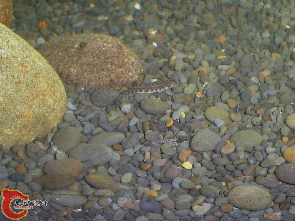 S5030164.JPG