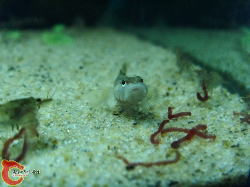 SDC14780.JPG