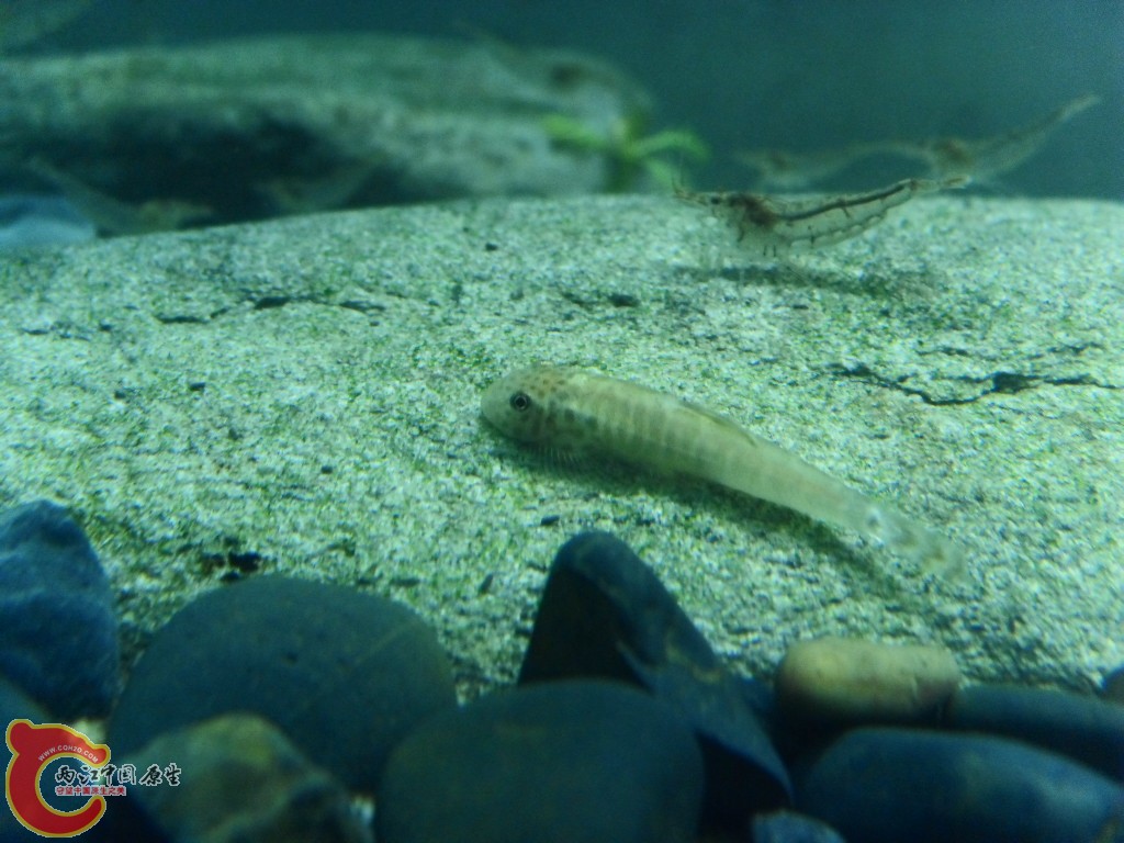 SDC14839.JPG