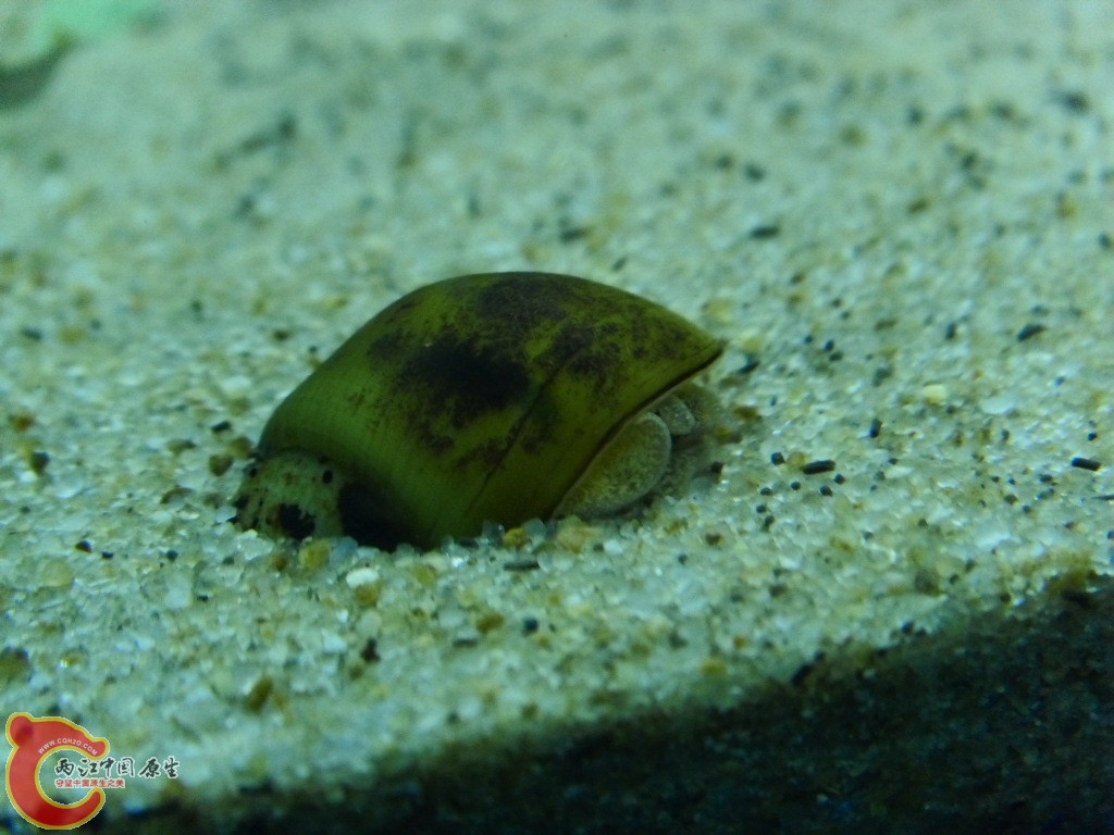 SDC14868.JPG