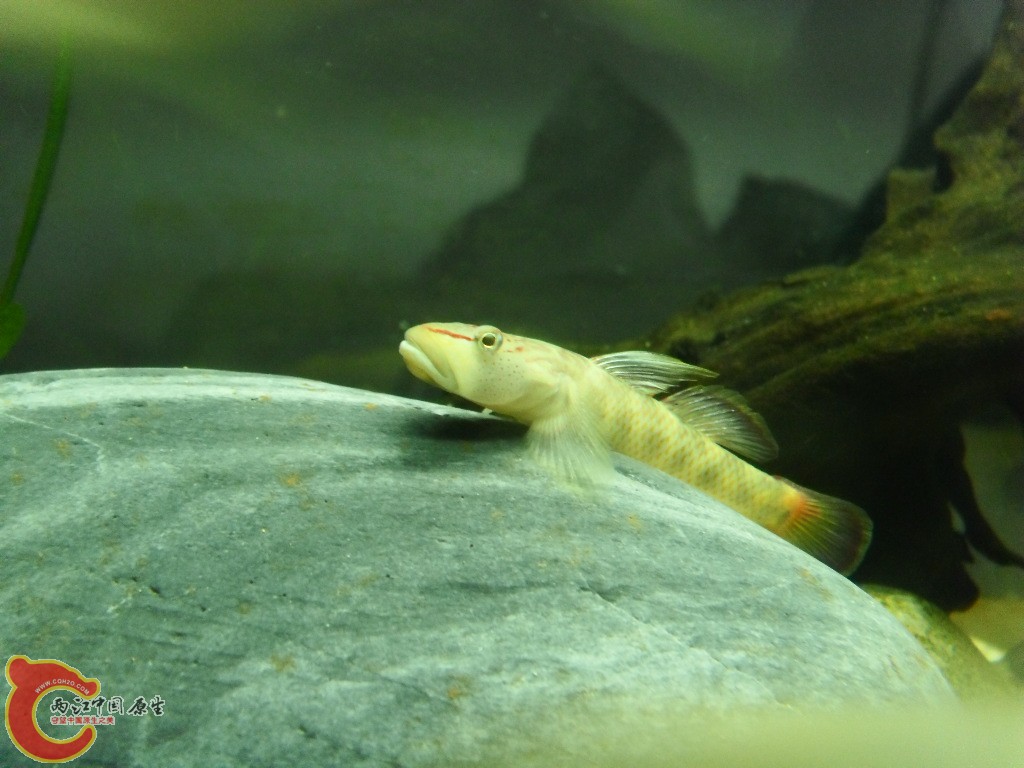 SDC14879.JPG