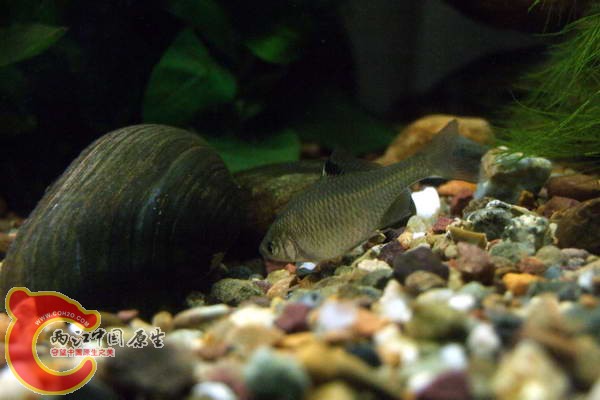 DSCF4767.jpg