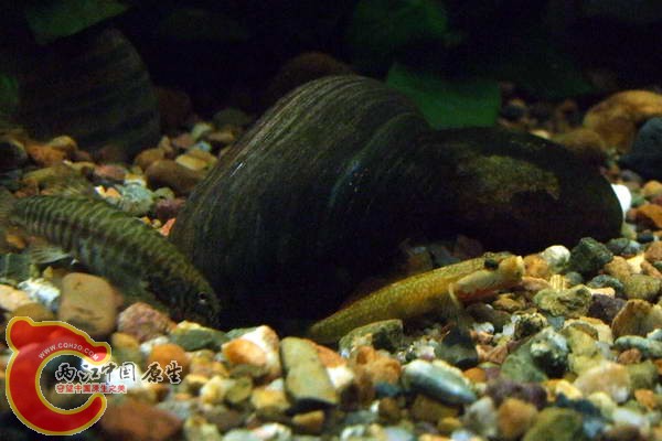 DSCF4688.jpg