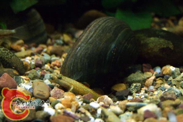 DSCF4739.jpg