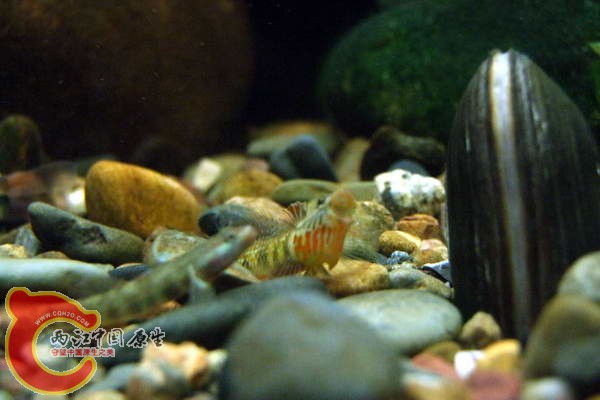 DSCF4779.jpg